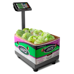 Sistema plegable de la Báscula Rhino BAPCA-200 para fácil almacenamiento y transporte