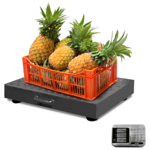 Indicador digital LED de la báscula Rhino BAPIC-300 con doble pantalla
