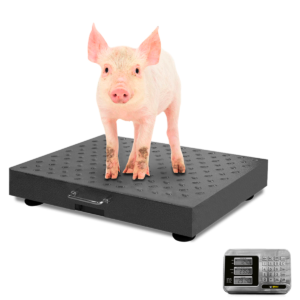 Plato de acero al carbón de 40 x 50 cm en la báscula plataforma Rhino BAPIC-300